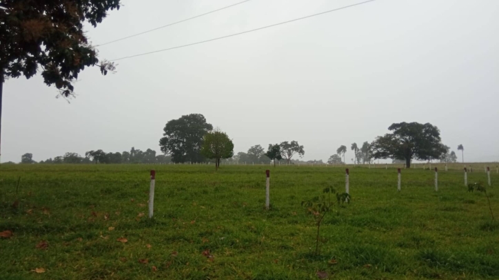 Terreno à venda, 7m² - Foto 2