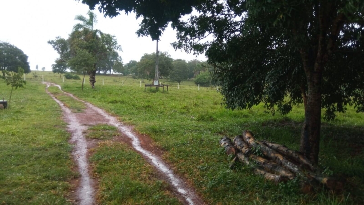 Terreno à venda, 7m² - Foto 1