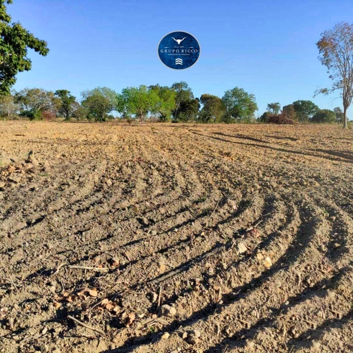 Terreno à venda, 200m² - Foto 7