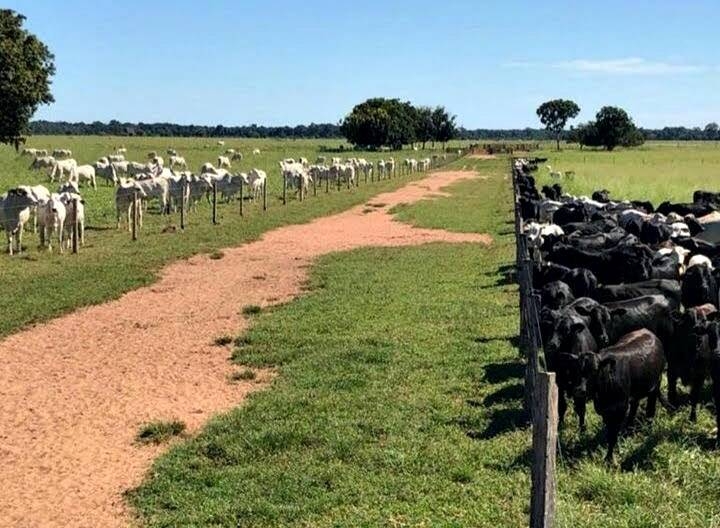 Terreno à venda, 200m² - Foto 4