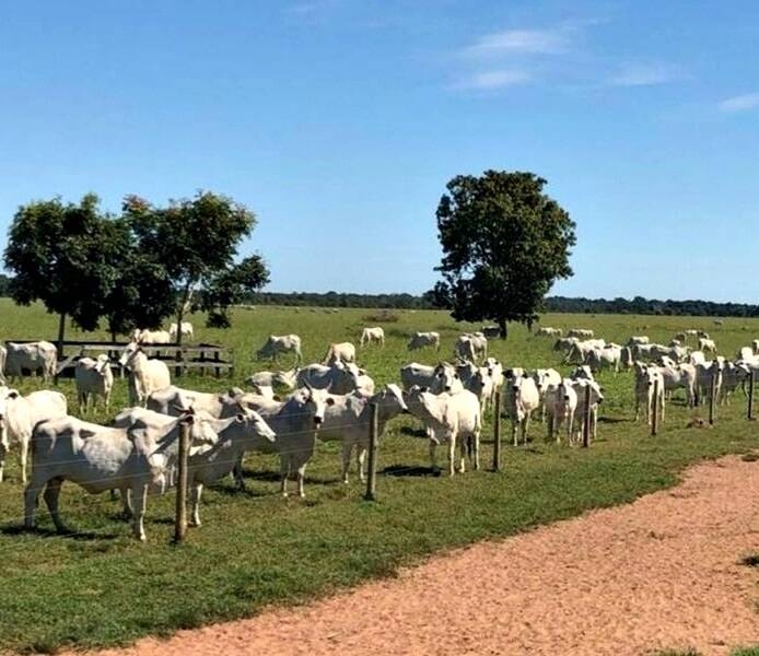 Terreno à venda, 200m² - Foto 12