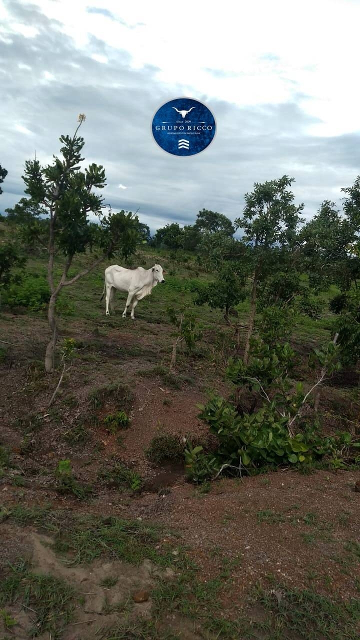 Terreno à venda, 342m² - Foto 6