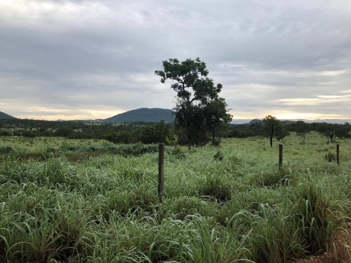 Terreno à venda, 2725m² - Foto 3