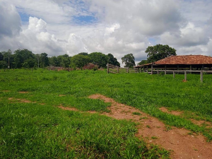 Terreno à venda, 37m² - Foto 5