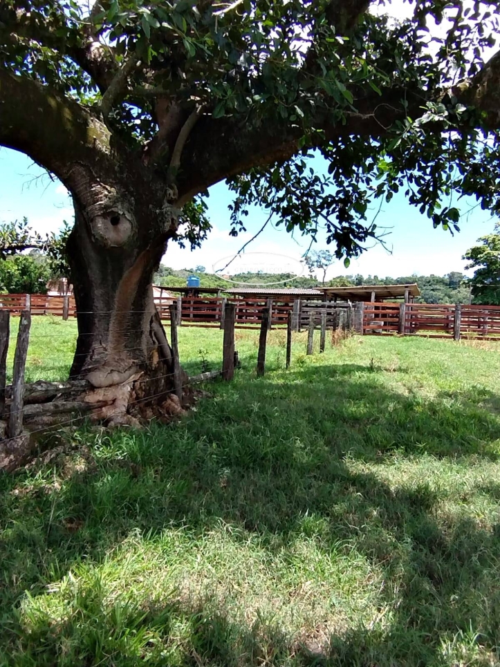 Terreno à venda, 2508m² - Foto 6