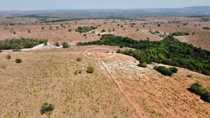 Terreno à venda, 4000m² - Foto 1