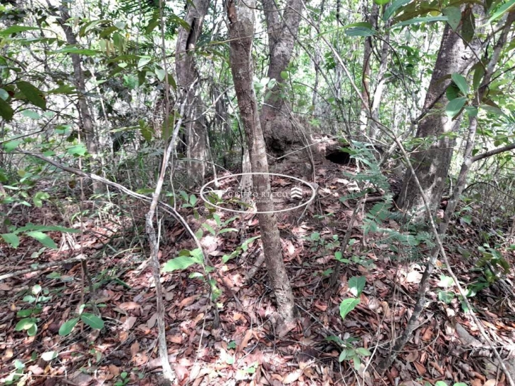 Terreno à venda, 300m² - Foto 3