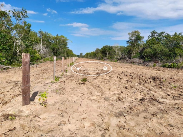 Terreno à venda, 300m² - Foto 4