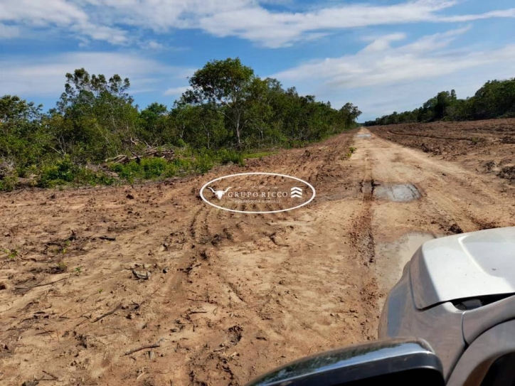 Terreno à venda, 300m² - Foto 6