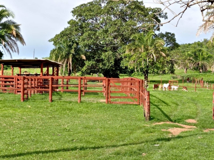 Terreno à venda, 40m² - Foto 3