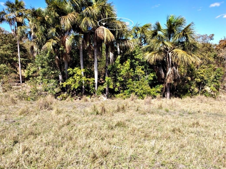 Terreno à venda, 40m² - Foto 11