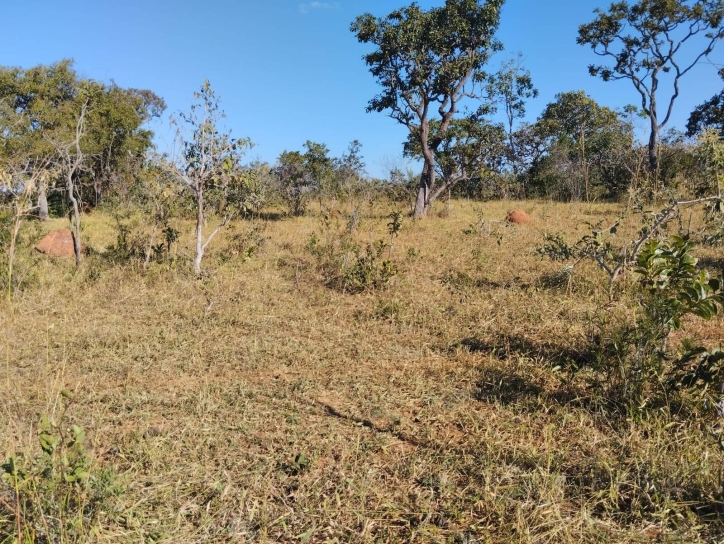 Terreno à venda, 91m² - Foto 5