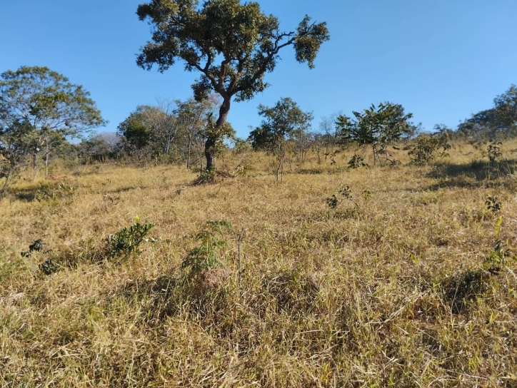 Terreno à venda, 91m² - Foto 6