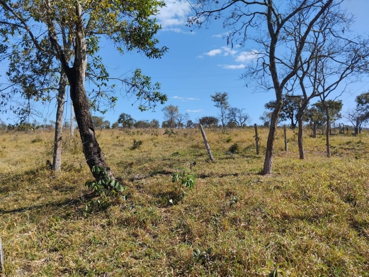 Terreno à venda, 91m² - Foto 8