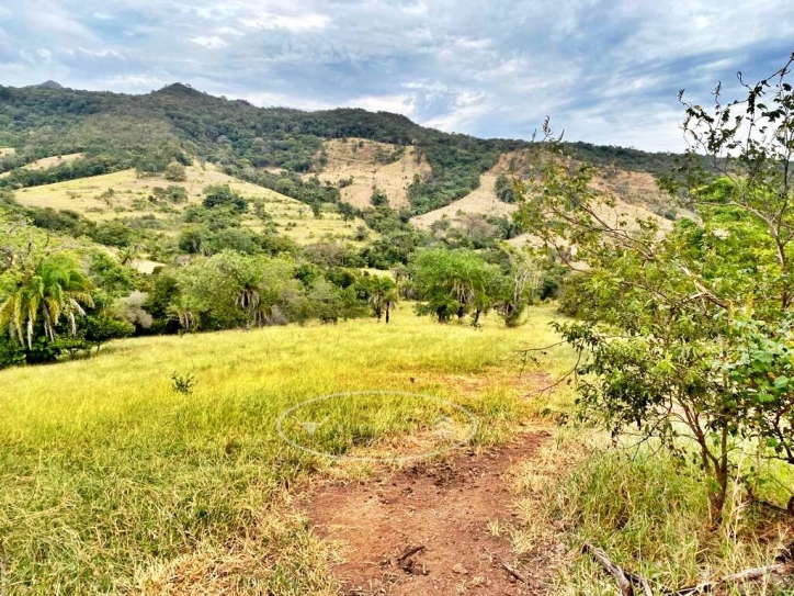 Terreno à venda, 65m² - Foto 1