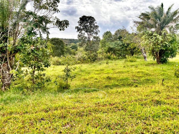 Terreno à venda, 65m² - Foto 5