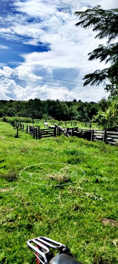 Terreno à venda, 80m² - Foto 4