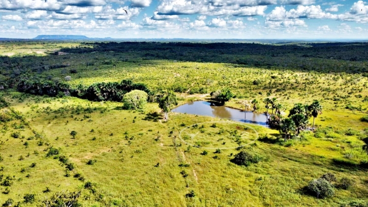 Terreno à venda, 100m² - Foto 1