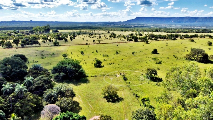 Terreno à venda, 100m² - Foto 5