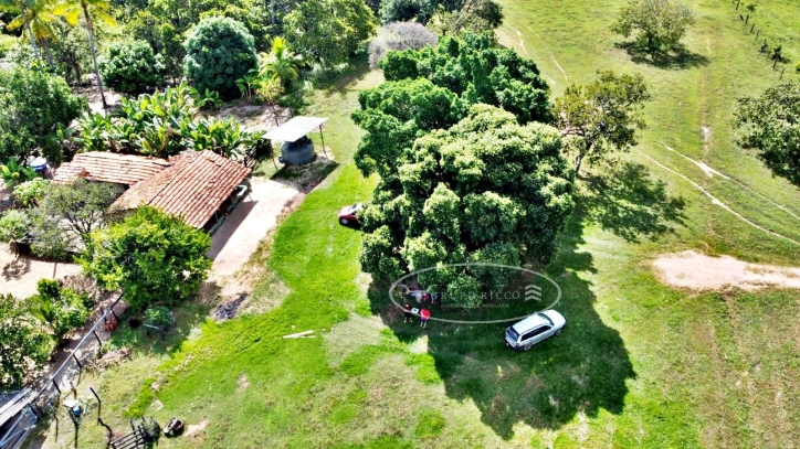 Terreno à venda, 100m² - Foto 6