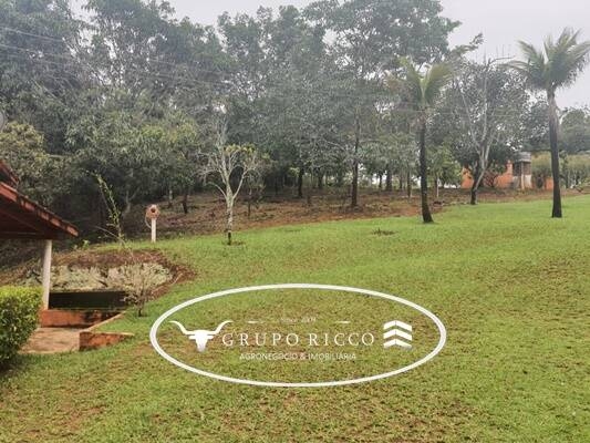 Fazenda à venda com 3 quartos, 5600m² - Foto 13