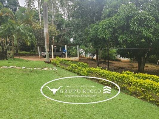 Fazenda à venda com 3 quartos, 5600m² - Foto 19