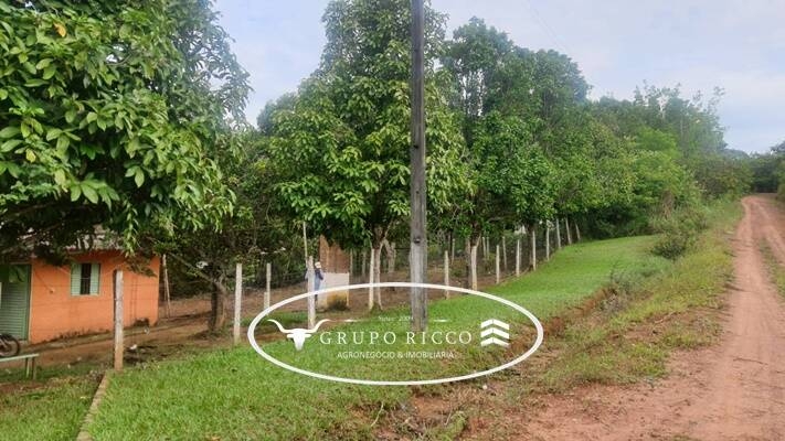 Fazenda à venda com 3 quartos, 5600m² - Foto 36