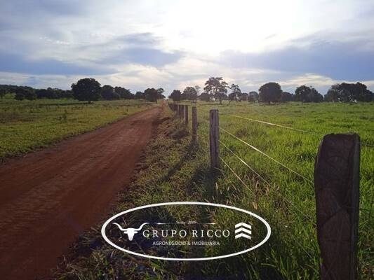 Terreno à venda - Foto 4