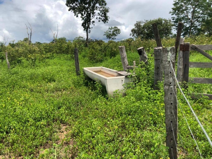 Fazenda à venda com 1 quarto, 1m² - Foto 2