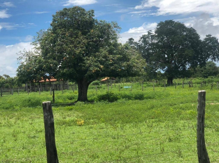 Fazenda à venda com 1 quarto, 1m² - Foto 3