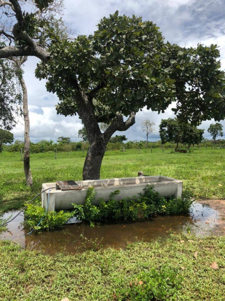 Fazenda à venda com 1 quarto, 1m² - Foto 4