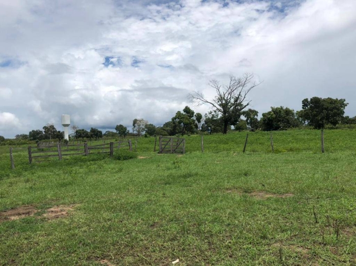 Fazenda à venda com 1 quarto, 1m² - Foto 5