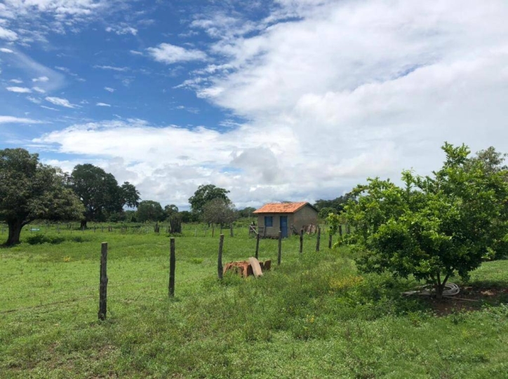 Fazenda à venda com 1 quarto, 1m² - Foto 1