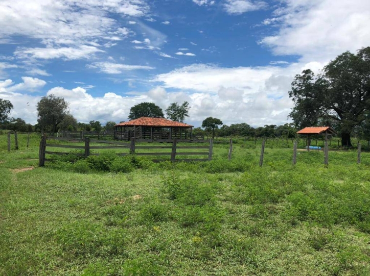 Fazenda à venda com 1 quarto, 1m² - Foto 7