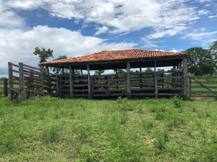 Fazenda à venda com 1 quarto, 1m² - Foto 10