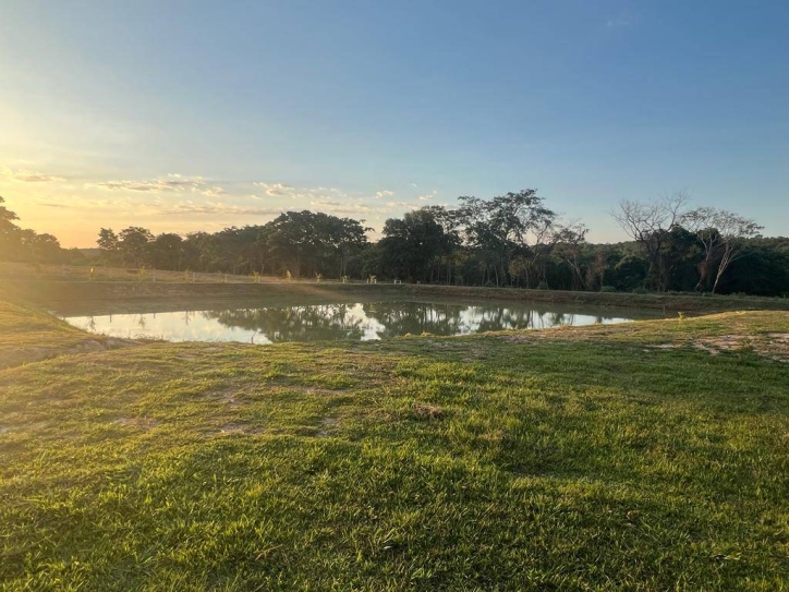 Fazenda à venda com 4 quartos, 350m² - Foto 4