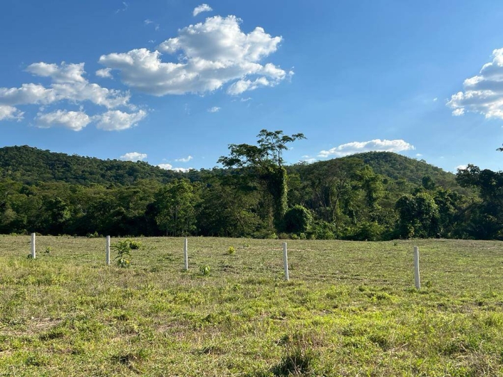 Fazenda à venda com 4 quartos, 350m² - Foto 8