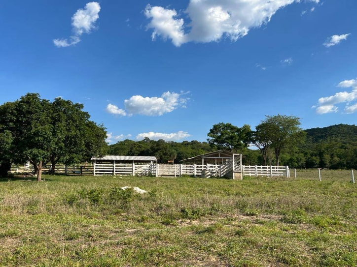 Fazenda à venda com 4 quartos, 350m² - Foto 12