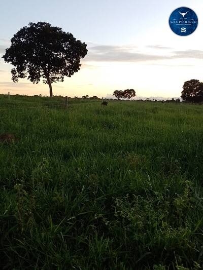 Terreno à venda, 5m² - Foto 3