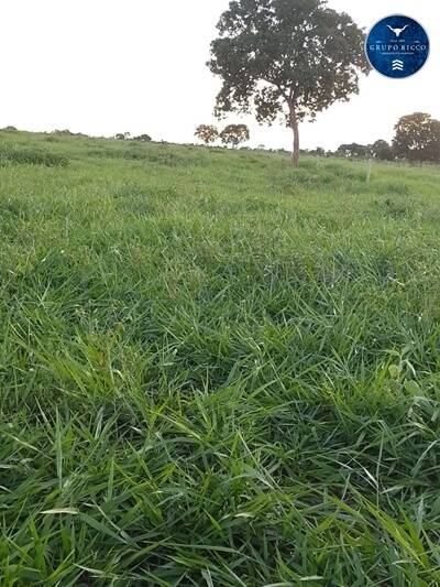 Terreno à venda, 5m² - Foto 10