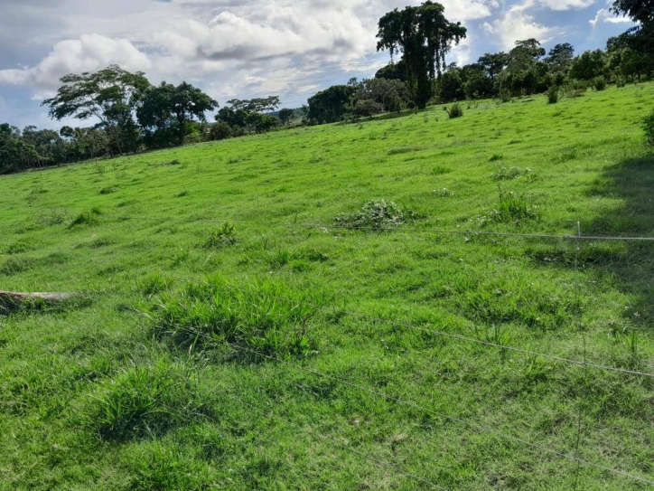 Terreno à venda, 5m² - Foto 2