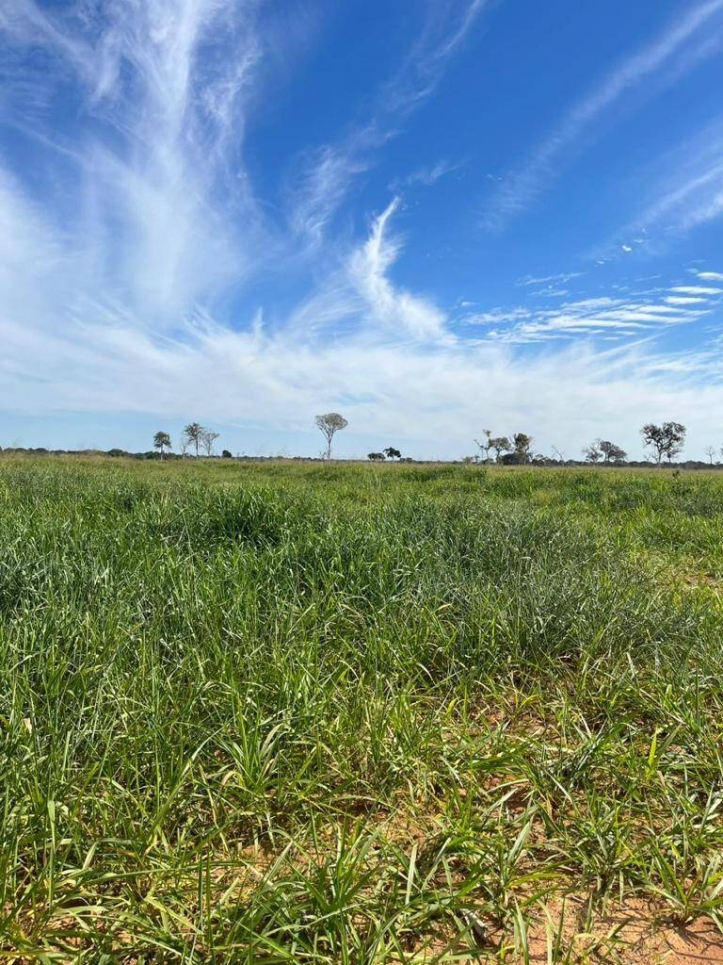 Terreno à venda, 230m² - Foto 5