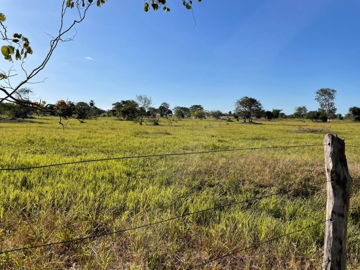 Terreno à venda, 103m² - Foto 2