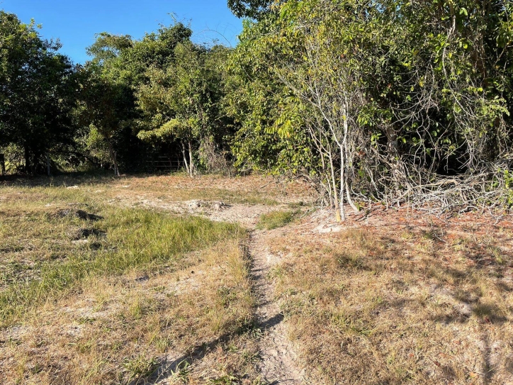 Terreno à venda, 103m² - Foto 3