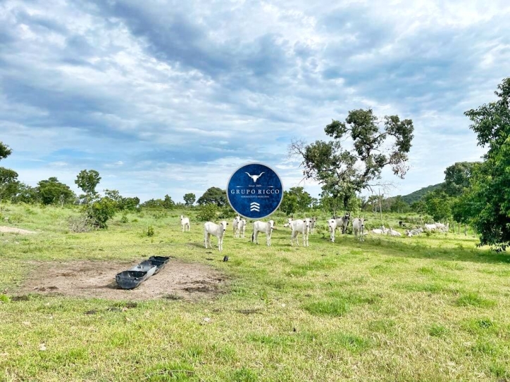 Terreno à venda, 41m² - Foto 1