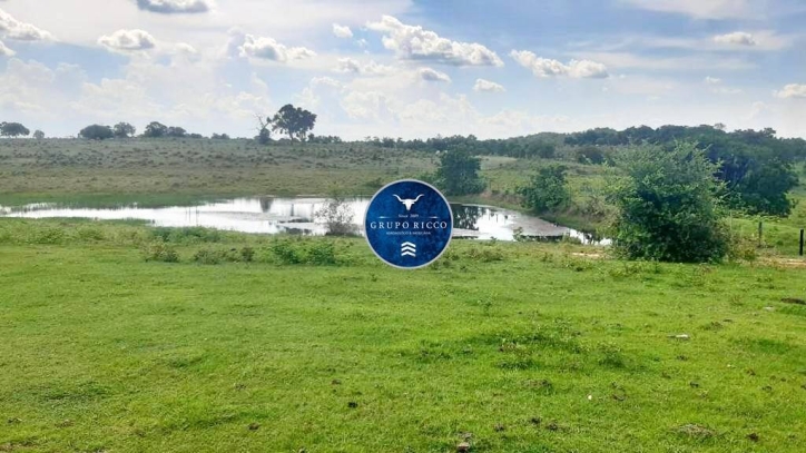 Terreno à venda, 100m² - Foto 1