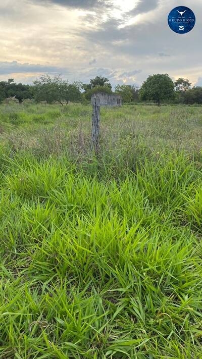 Terreno à venda, 6m² - Foto 2