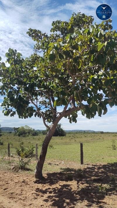 Terreno à venda, 800m² - Foto 8