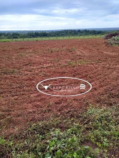 Terreno à venda, 350m² - Foto 3