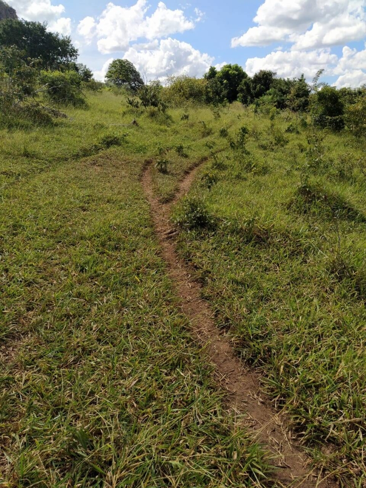 Terreno à venda, 15m² - Foto 6